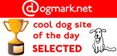 Alex's site was selected as a Cool Dog Site!